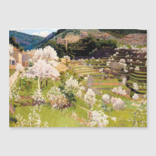 Terraced Garden in Mallorca