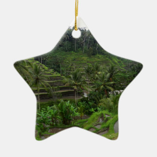 Terraced Rice Fields Ceramic Tree Decoration