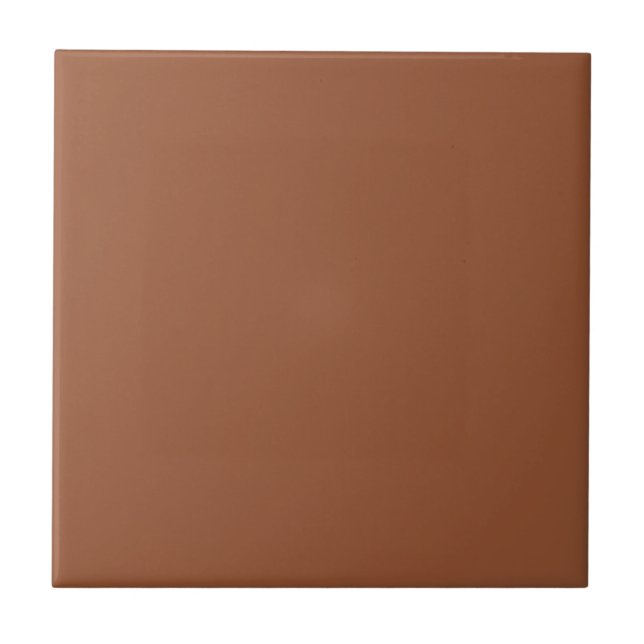 Terracotta Burnt Orange Solid Colour  Tile (Front)