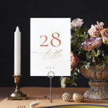 Terracotta Dusty Orange Elegant Boho Gold Wedding Table Number<br><div class="desc">This card is part of a large collection - click below or ask me for me info</div>