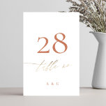 Terracotta Dusty Orange Elegant Boho Gold Wedding Table Number<br><div class="desc">This card is part of a large collection - click below or ask me for me info</div>