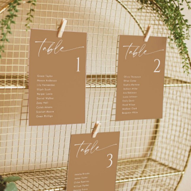Terracotta Elegant Wedding Seating Chart Cards (Creator Uploaded)