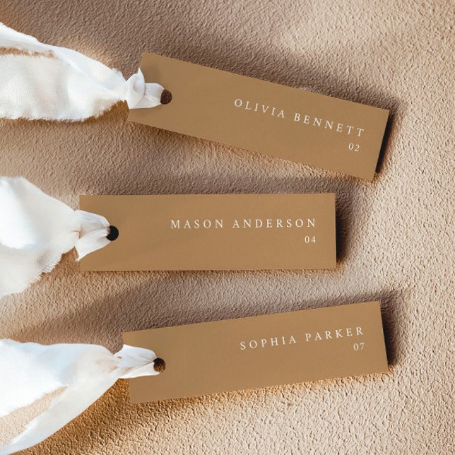 Terracotta Modern Wedding Name Place Cards (Delivered untrimmed)