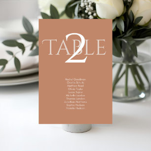 Terracotta   Modern Wedding Table Number 