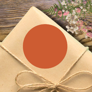 Terracotta Orange Solid Colour Warm & Earthy Desig Classic Round Sticker