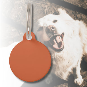 Terracotta Orange Solid Colour Warm & Earthy Desig Pet Tag