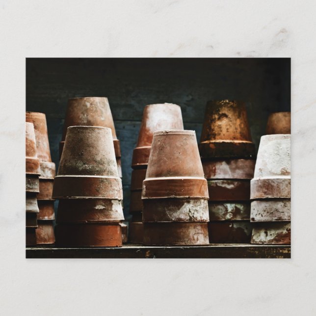 Terracotta Plant Pots Postcard (Front)
