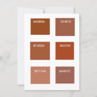Terracotta Rust Colour Swatches