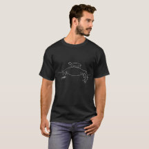 Terrapin on a fox