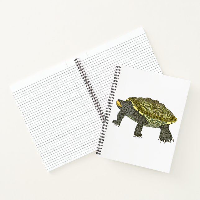 Terrapin (white) - Notebook (Inside)