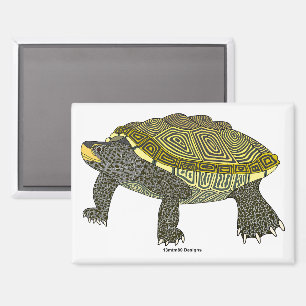 Terrapin (white) - Rectangle Magnet