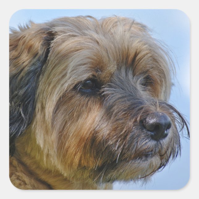 Terrier Design Square Sticker (Front)