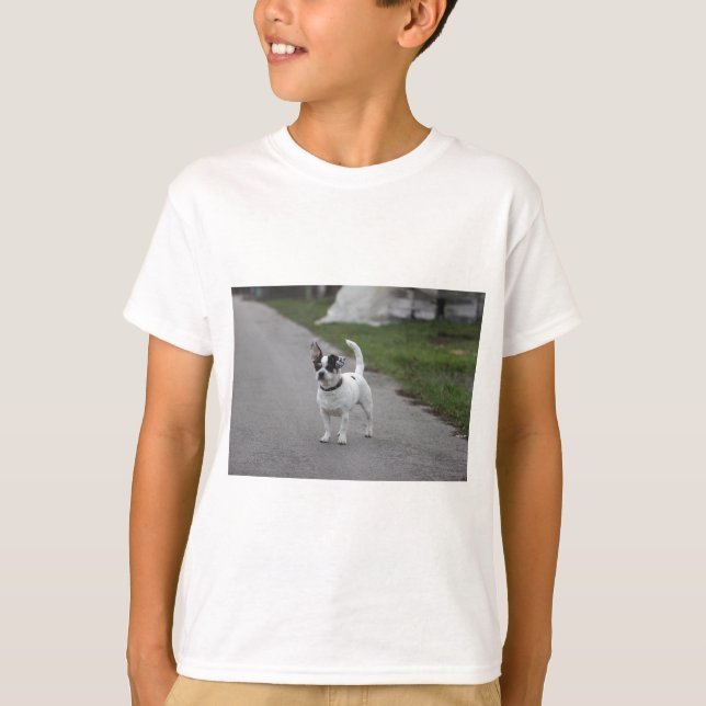 Terrier Dog looking Cute! T-Shirt (Front)