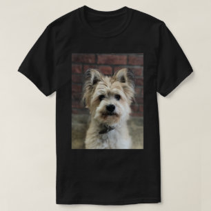 Terrier Dog Photo Personalise Cotton T-Shirt