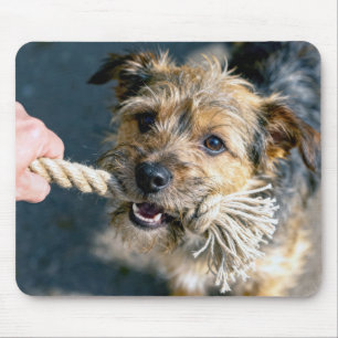 Terrier Dog Playing Tug of War Mouse Pad