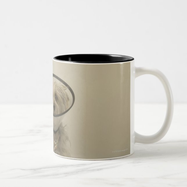 Terrier dog wearing protective collar, close-up Two-Tone coffee mug (Right)