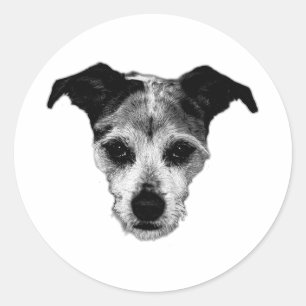 Terrier Mix Looking Up Portrait Sticker