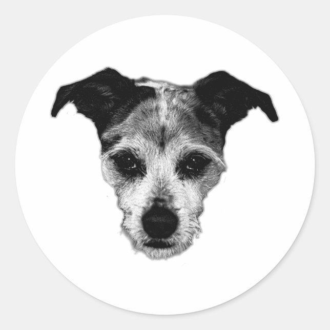 Terrier Mix Looking Up Portrait Sticker (Front)