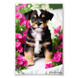 Terrier Puppy Satin Photo Enlargement Print