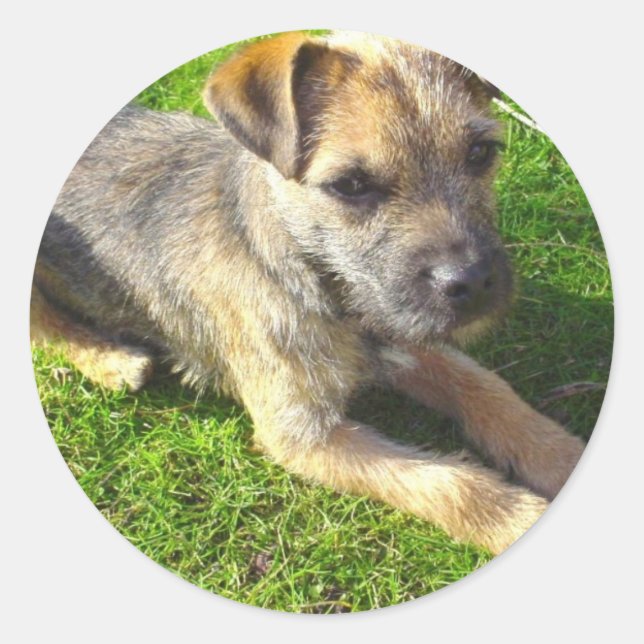 Terrier Puppy Sticker (Front)