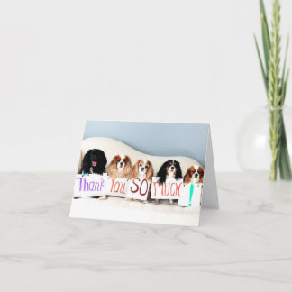 Terri's Thank You Card.jpg Card