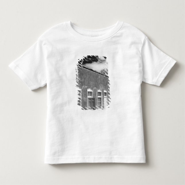 Territorial style architecture, Santa Fe, New Toddler T-Shirt (Front)