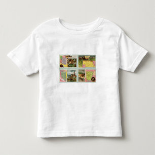 Territory of Arizona, Nebraska, Nevada, Arkansas Toddler T-Shirt