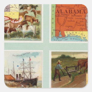 Territory of Wyoming, Alabama, Louisiana, Kansas Square Sticker