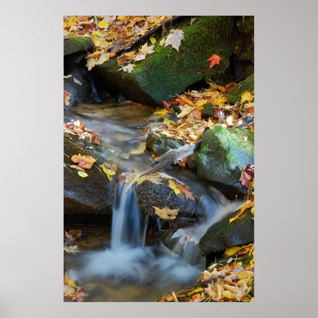Teskawata Falls Poster (Front)