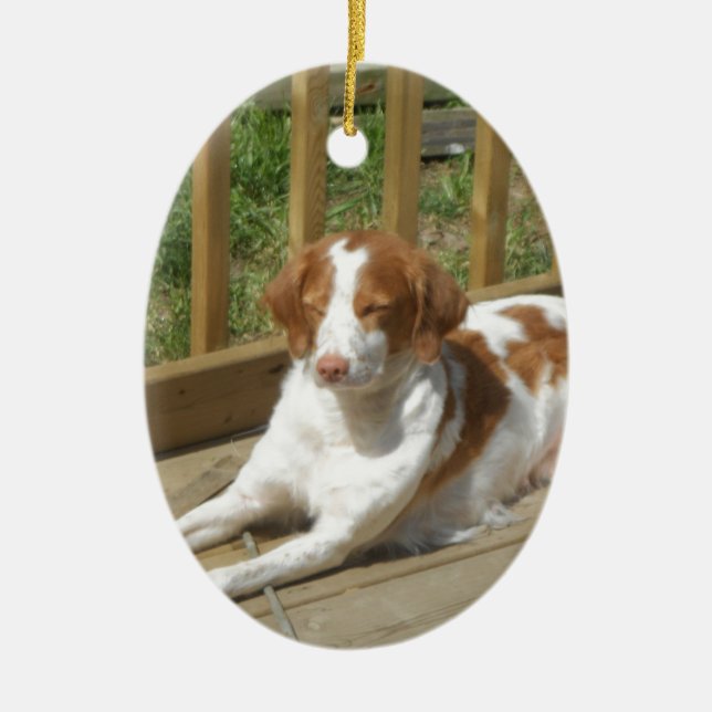 Tessa my little puppy ceramic tree decoration (Front)