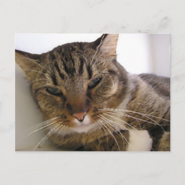 Tessie Postcard (Front)