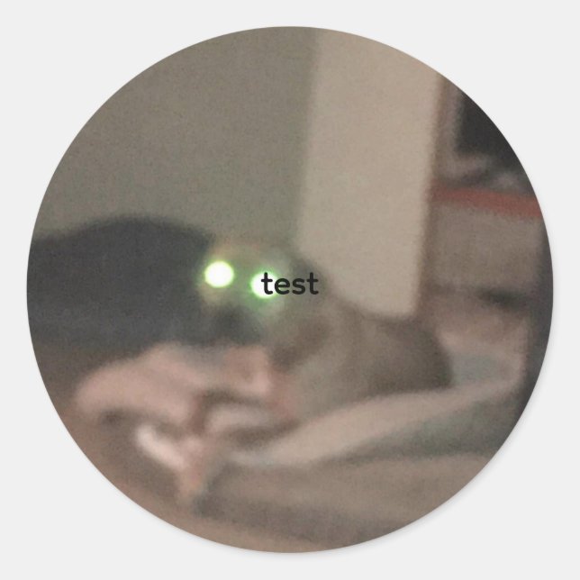 test classic round sticker (Front)