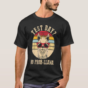 Test Day No Prob Llama Teacher Exam Testing Teachi T-Shirt