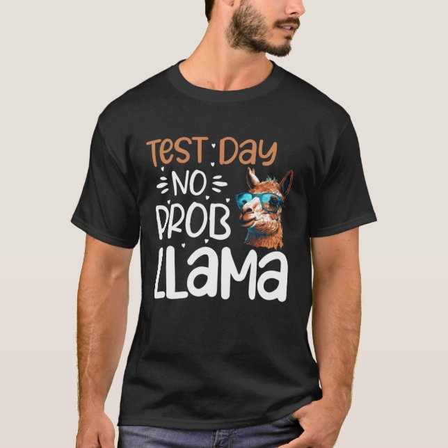 Test Day No Probllama  Llama Testing Day Teacher T-Shirt (Front)