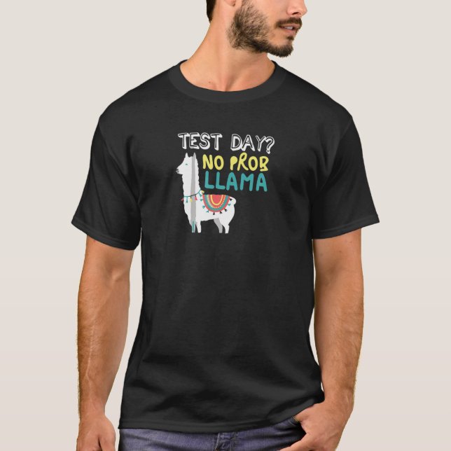 Test Day Teacher Testing Exam End Of Year T-Shirt (Front)