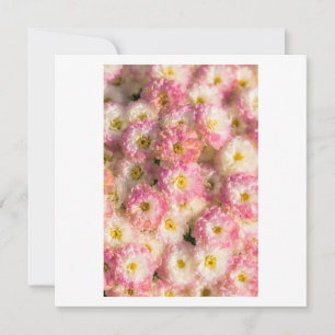 test holiday card