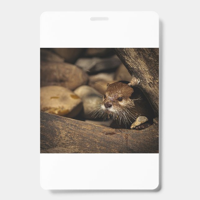 test ID badge (Front)