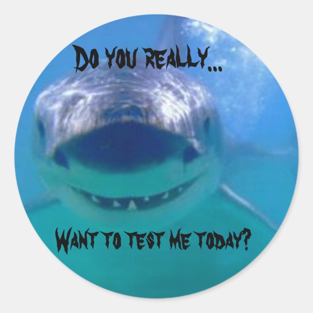 Test Me Classic Round Sticker (Front)