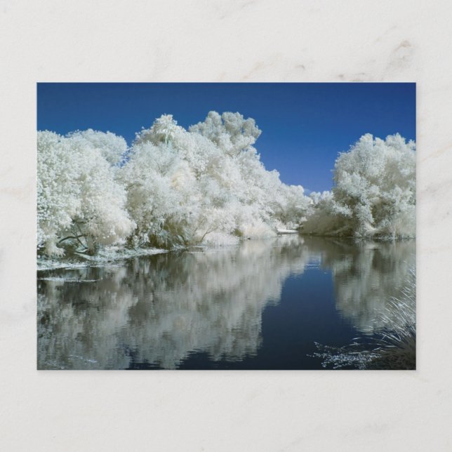 Test Post Card (Front)