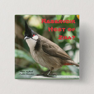 Test Red-Whiskered Bulbuls by RoseWrites 15 Cm Square Badge