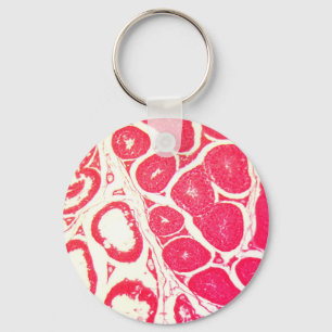 Testicle Cells under the Microscope Key Ring