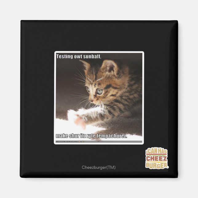 Testing owt sunbaff magnet (Front)