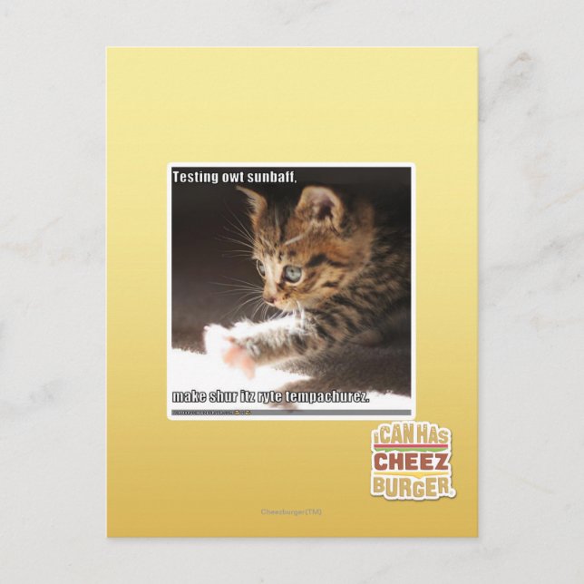 Testing owt sunbaff postcard (Front)