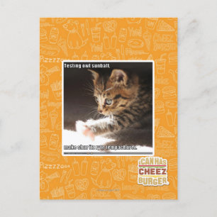 Testing owt sunbaff postcard