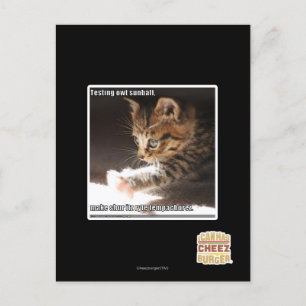 Testing owt sunbaff postcard