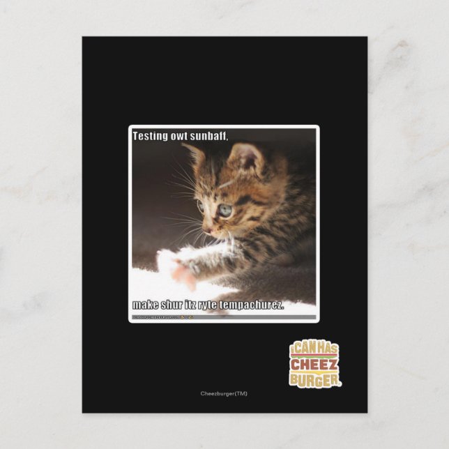 Testing owt sunbaff postcard (Front)