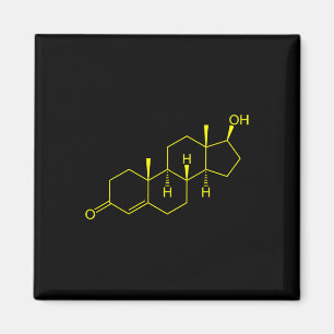 Testosterone Molecule Biology Science Bodybuilding Magnet