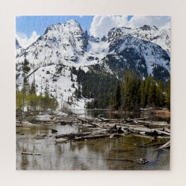 Teton Mountain Stream Reflections - 20x20 - 676 pc Jigsaw Puzzle (Vertical)