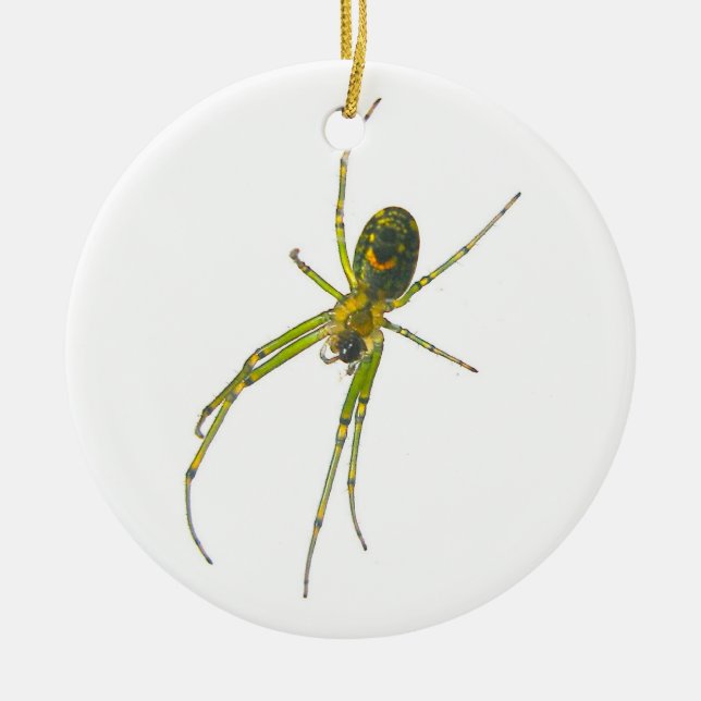 Tetragnathid Spider Christmas Ornament (Front)