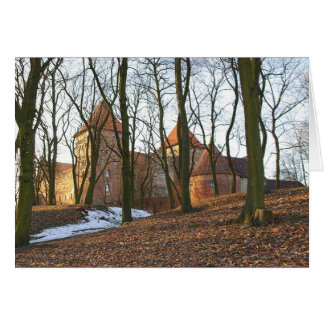 Teutonic Order castle Neidenburg - Card